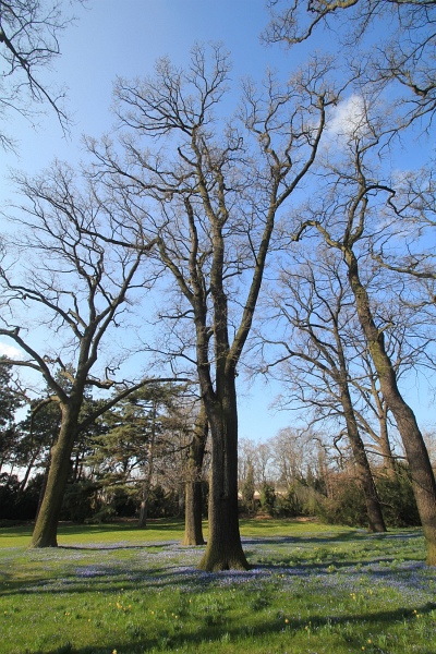 Fruehling   068.jpg